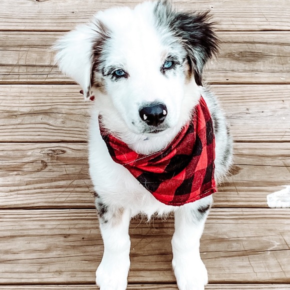 Meet your posher - Picture 9 of 13